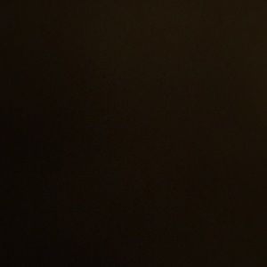 Meet your Posher, Will